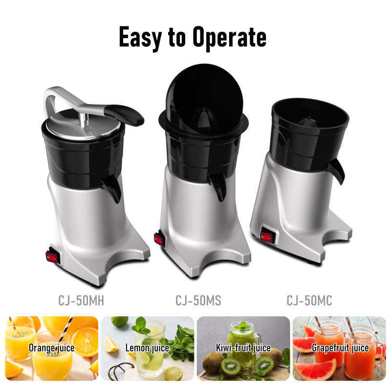 Küchengerät Mixer und Entsafte – Kitchen Appliances In Bewertung und Preis